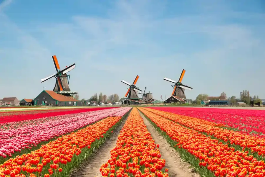 Amazing Europe