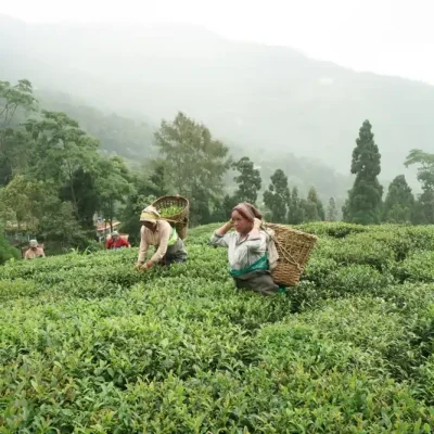 Sikkim
