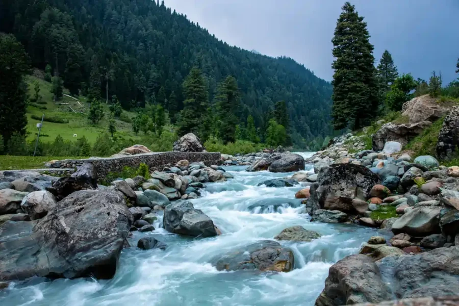 Amazing Kashmir With Katra
