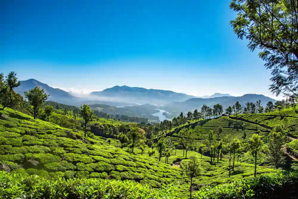 Kerala