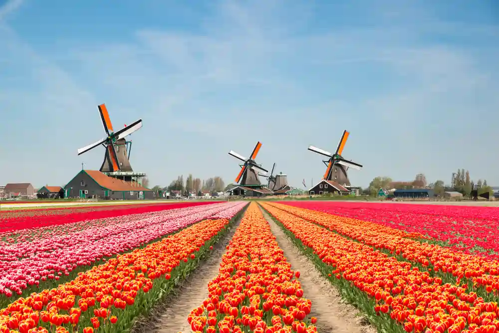 Europe